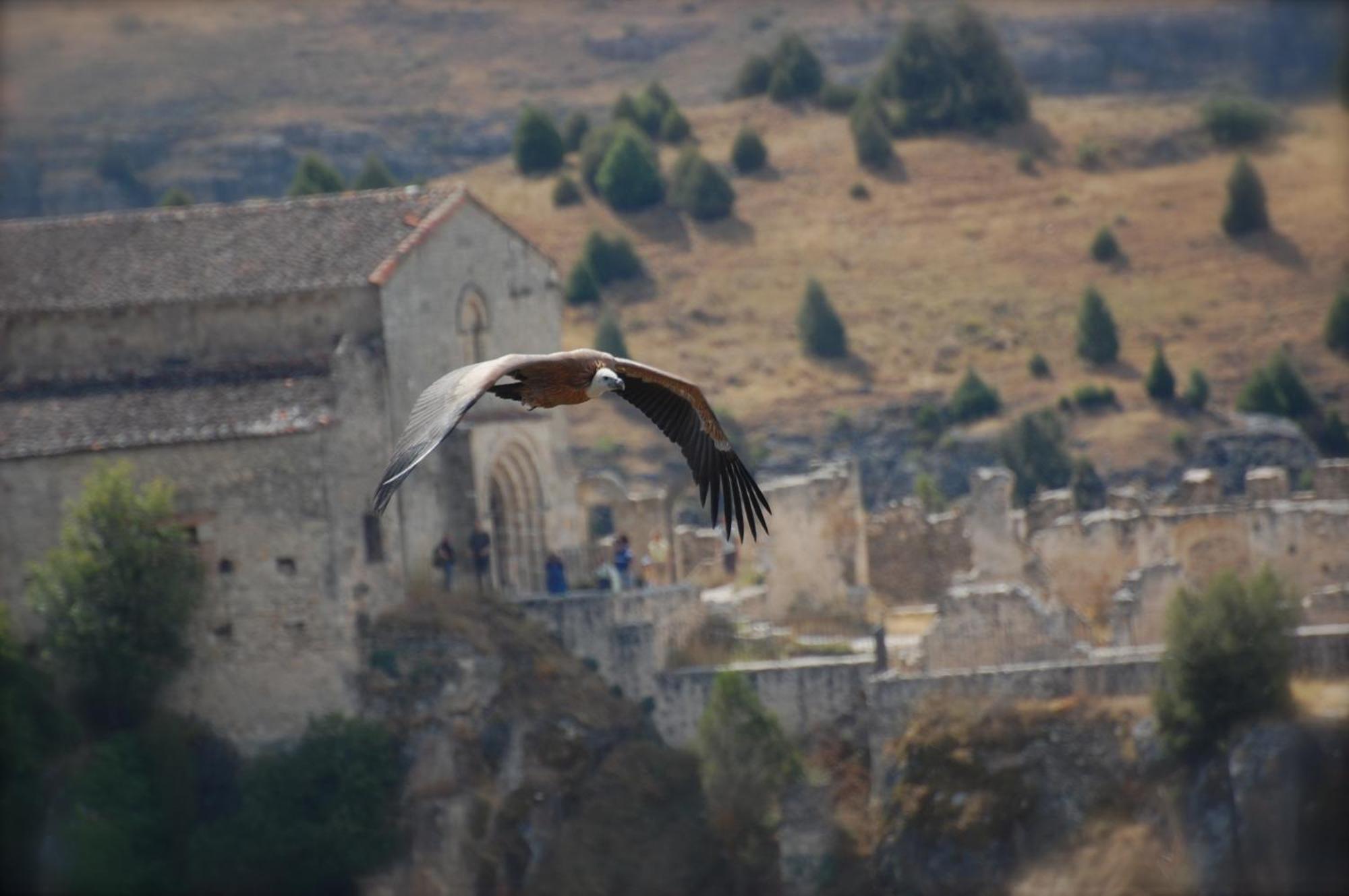El Rincon De Las Hoces Del Duraton Burgomillodo Luaran gambar